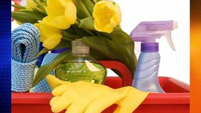 Town of Georgetown Town Wide Clean Up