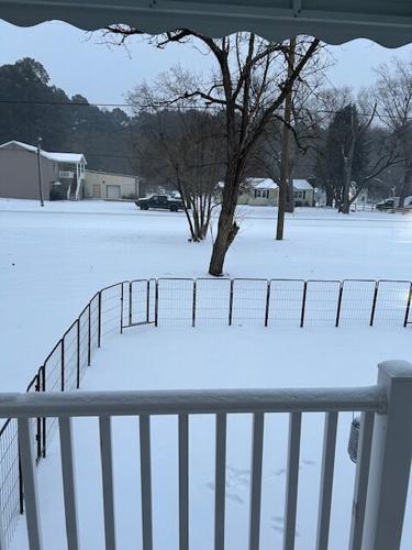 Tammy Murphy - Delmar MD.jpg