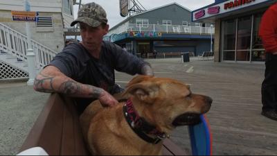 Travels With Charlie: Timmy Schultz & Daizy Dukes, Boardwalk Dog