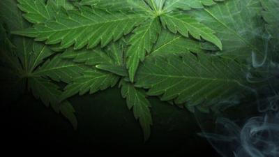 Search and Seizure Turns Up Packaged Marijuana