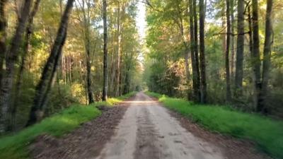 Travels With Charlie: Nature of Opportunity