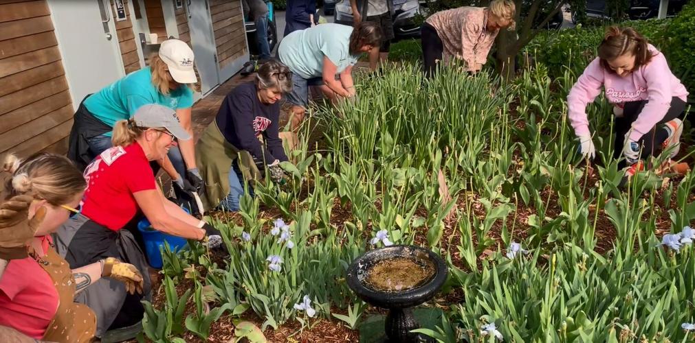 LEWES IN BLOOM. 2.JPG