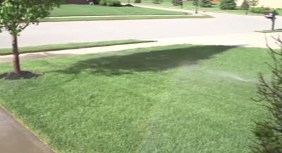 Angies List  Sod vs Seed   May 12  2015   YouTube