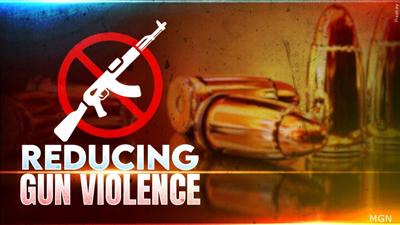 Reducing Gun Violence Graphic