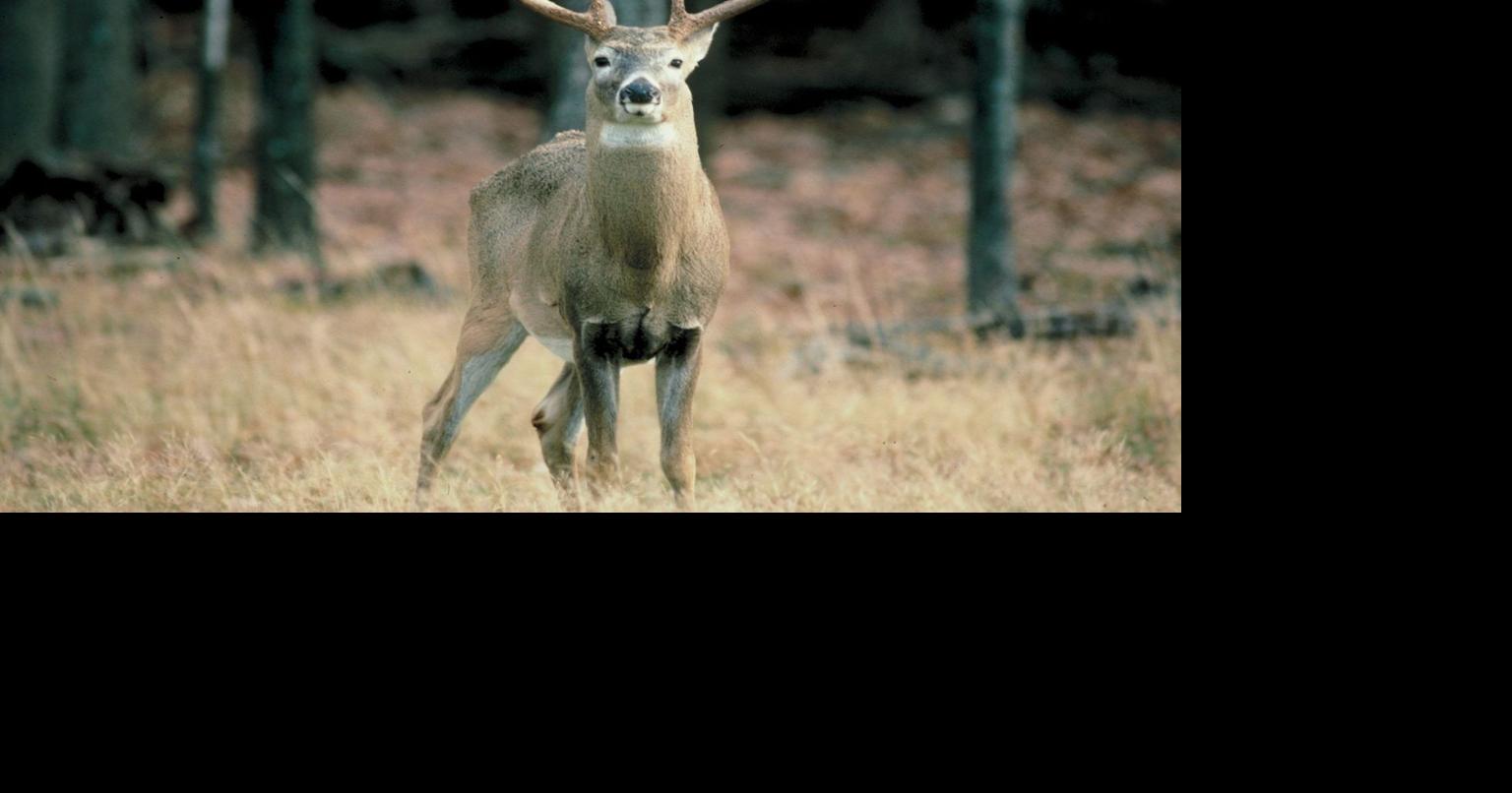 Virginia hunting license fee increases take effect Oct. 1