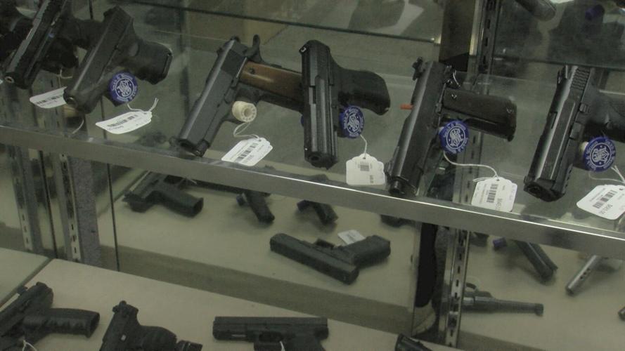 Partial Gun Ban Could Be Approved for Delaware Parks, Forests