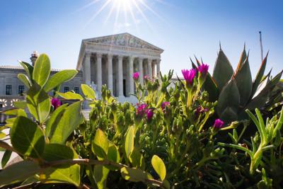 Trump Supreme Court Wins and Losses
