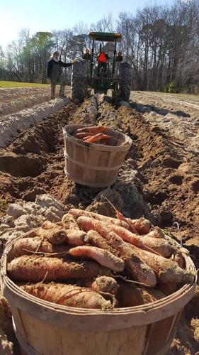 12743908_953505071353026_5304762869466157446_n