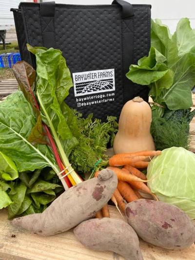 Baywater Farms Produce
