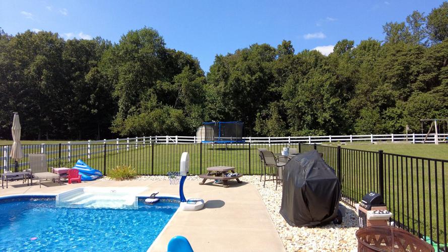 Target Shooting Accident Kills Dog