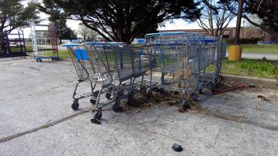 Abandoned Shopping Carts