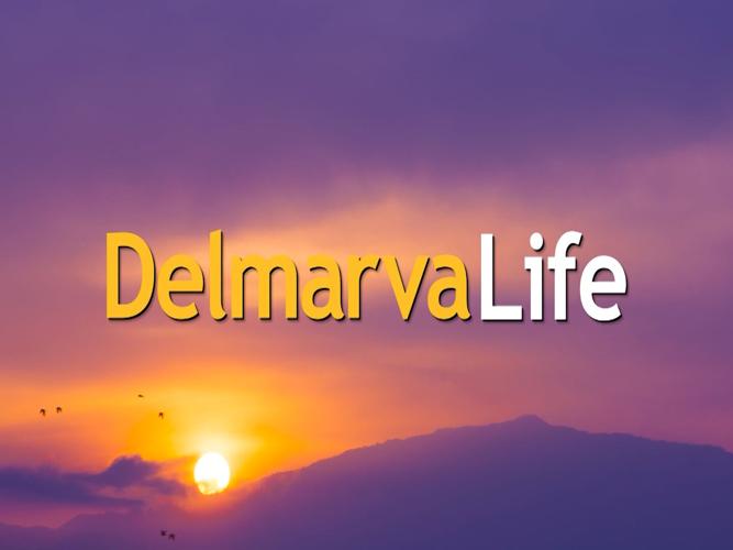 DelmarvaLife Goes Purple