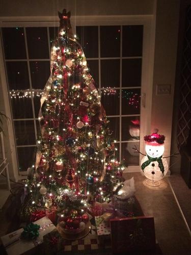 Amanda xmas tree, harrington