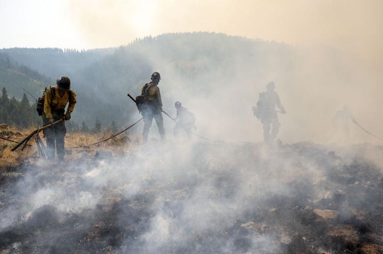Immigration-Border Patrol-Firefighters