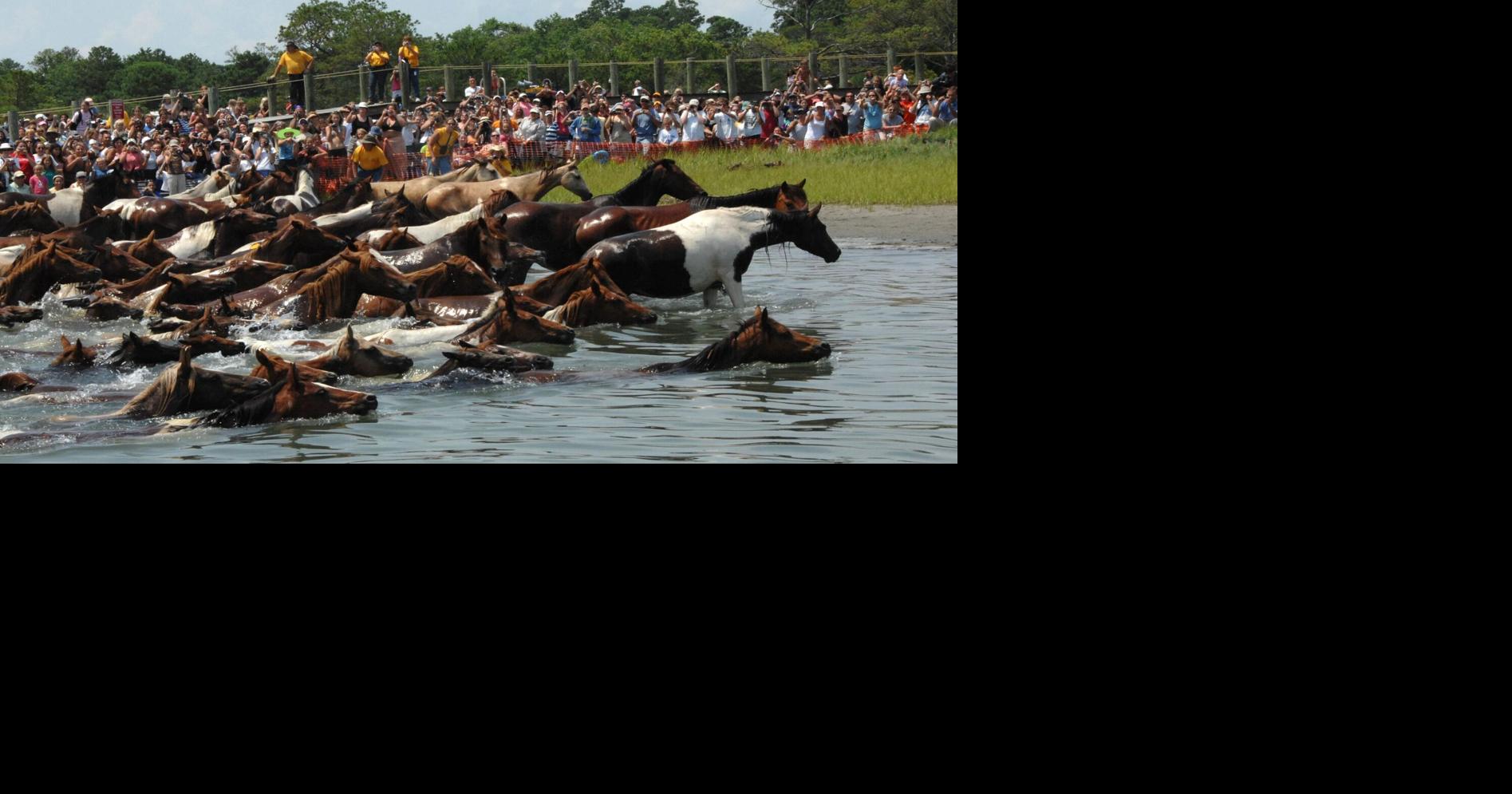 Tourism Spending Tops $192 Million in Accomack County