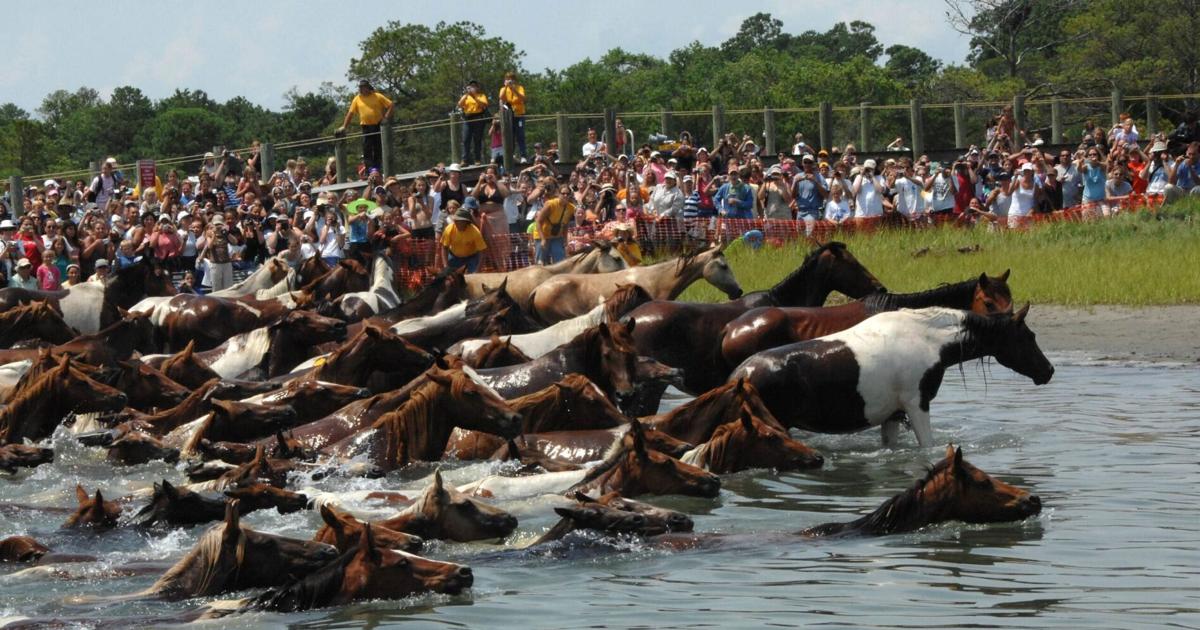 Tourism Spending Tops $192 Million in Accomack County