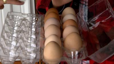 Eggs