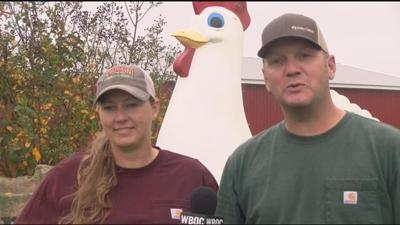 webberfarms