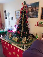 Patricia Musser of Delmar, De