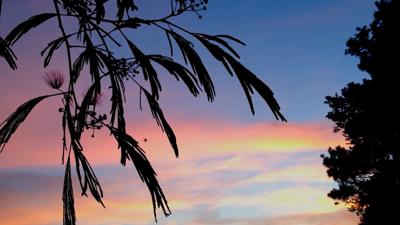 Travels With Charlie: Last Few Minutes of Summer