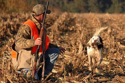 DNR Seeks Public Input for Upcoming Hunting Seasons and Bag Limits