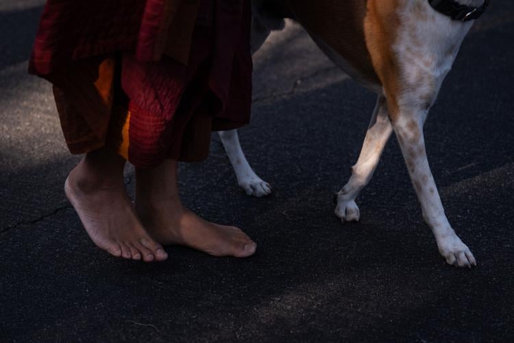 Walk for Peace Buddhist Monk