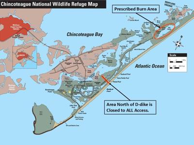 Prescribed Burn Chincoteague