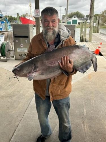 Pueblo West man catches record blue catfish in Lake Pueblo with