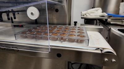 Cannabis Processing Facility