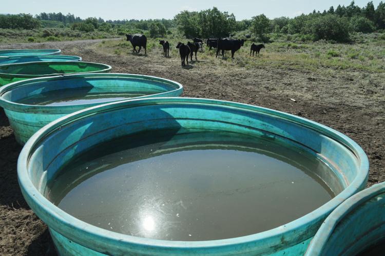 Climate Rancher Drought