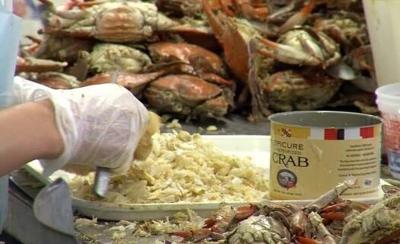 No Visas, No Workers, No Business for Maryland's Crab Industry