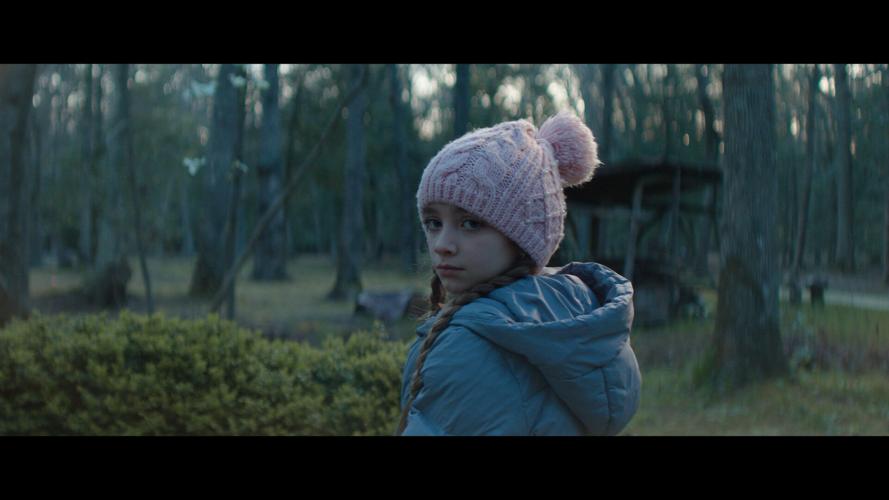 Hedgehog_still_ninaturns