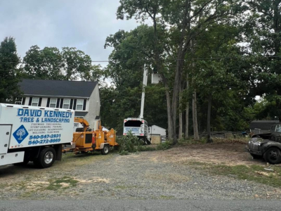 David Kennedy Tree & Landscaping Helps Northern Virginia Homeowners Improve Outdoor Spaces