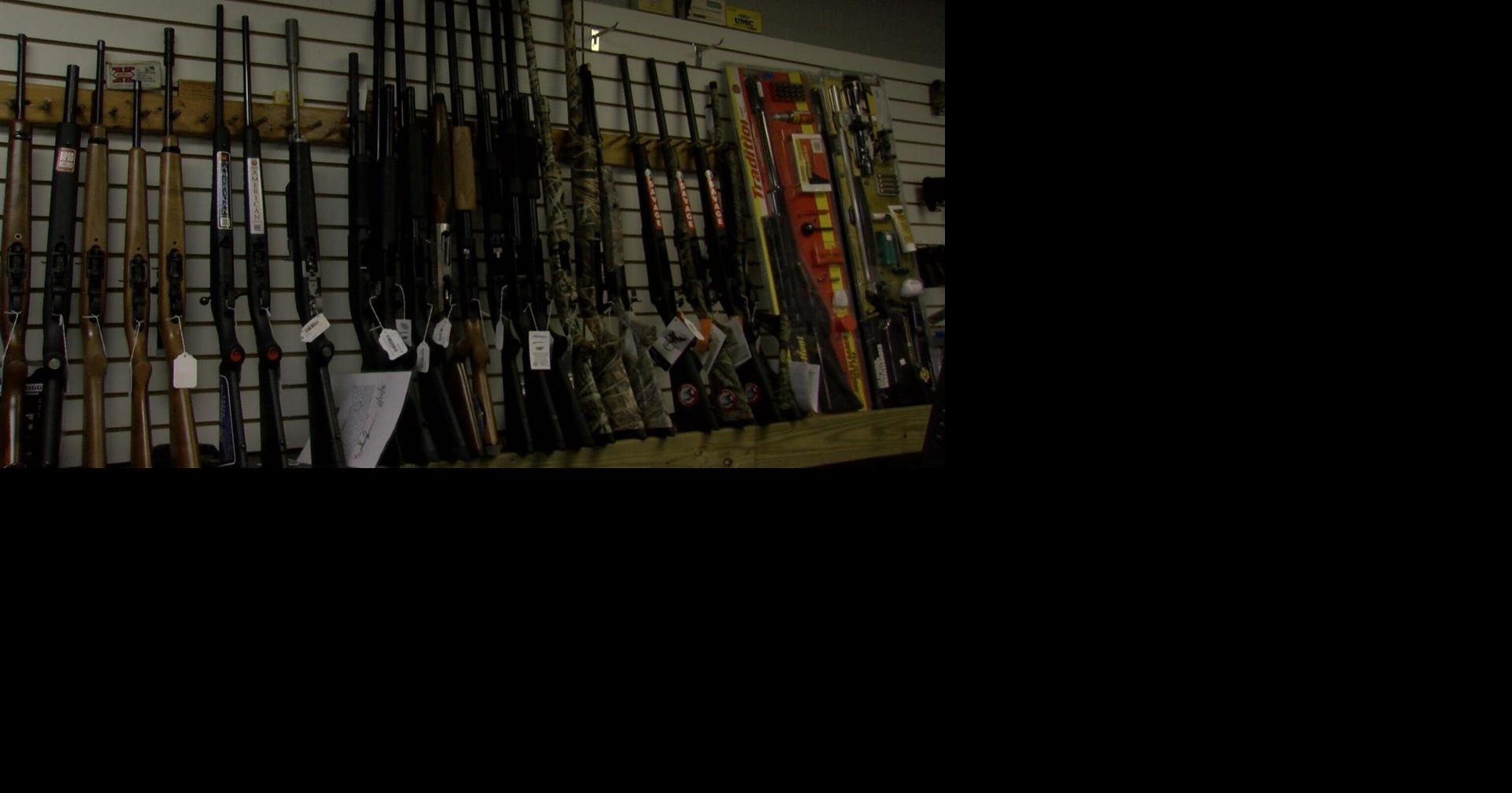 Delaware lawmakers consider sweeping overhaul of gun dealer regulations