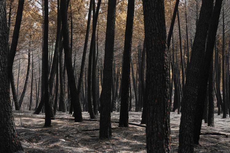Spain Europe Wildfires
