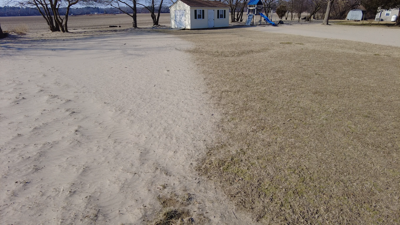 Sand in yard