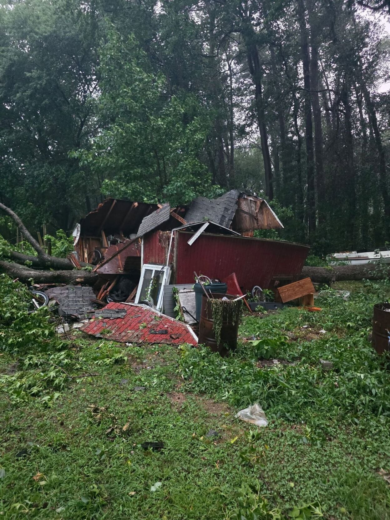 Laurel damage