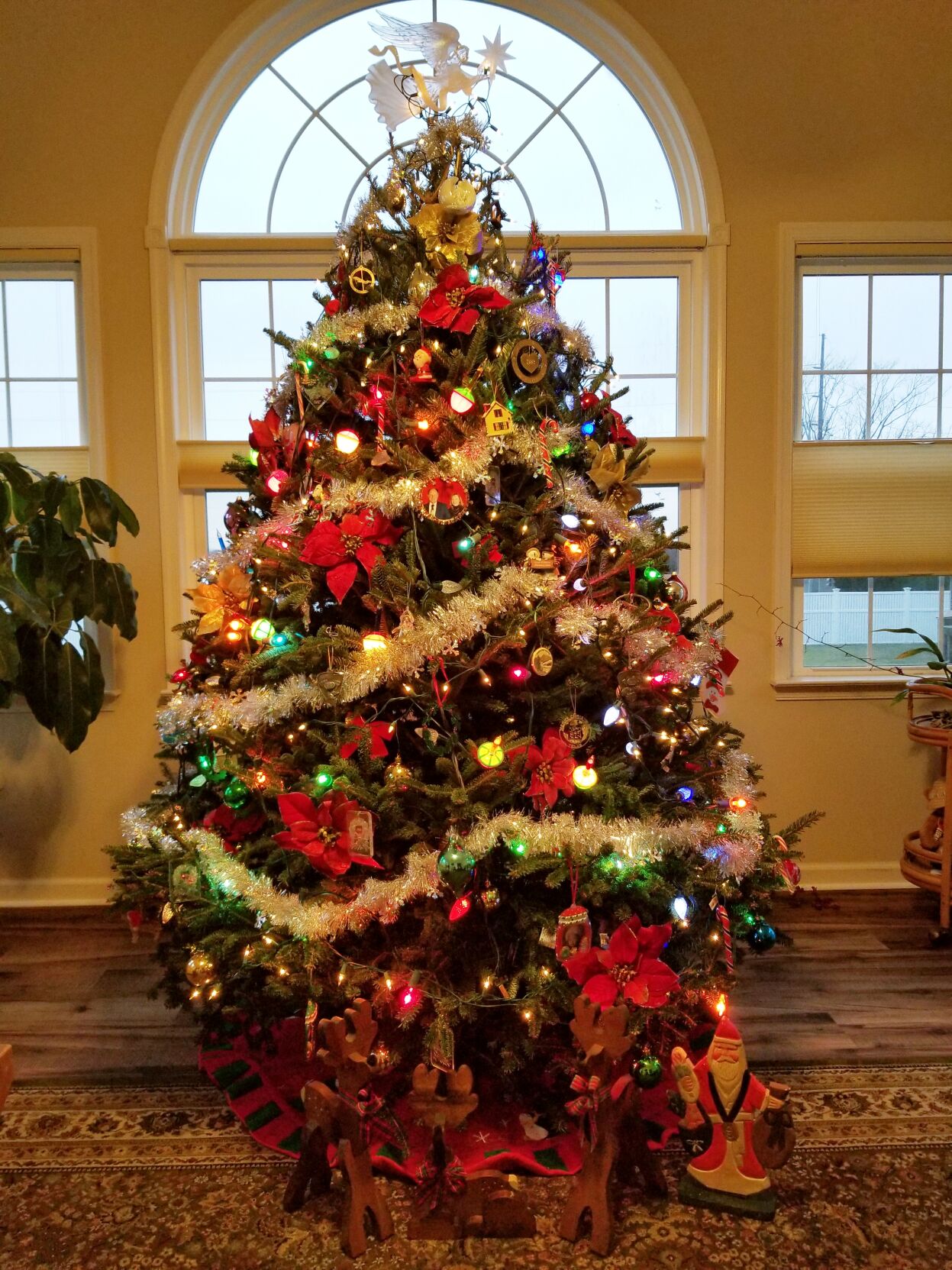 the-Schafers-Long-Neck-DE