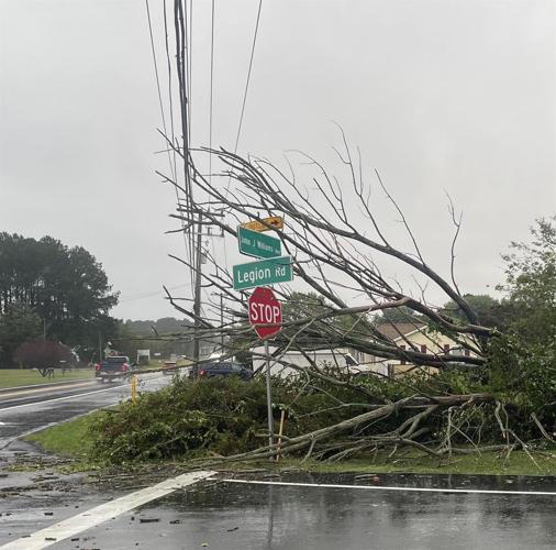 Tree down electrical hazard