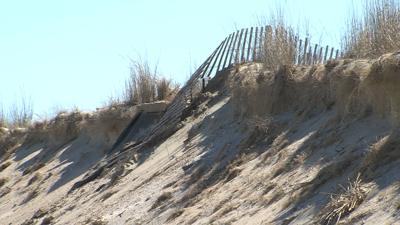 Broadkill Beach Dune