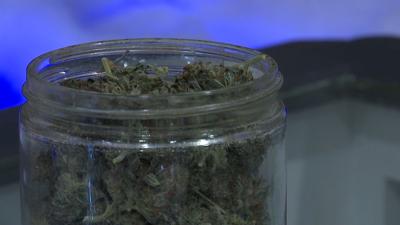 WEED