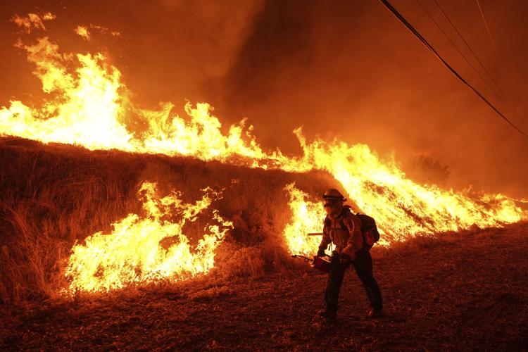 Trump Wildfires
