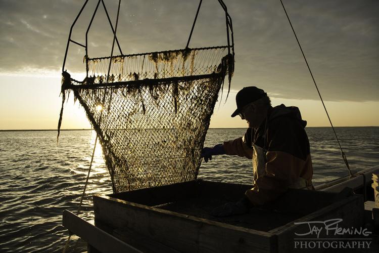 Island Life – Spring 2020 – © Jay Fleming03