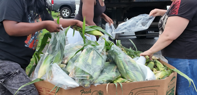Volunteers bagging corn to be donated to families at the food distribution event.