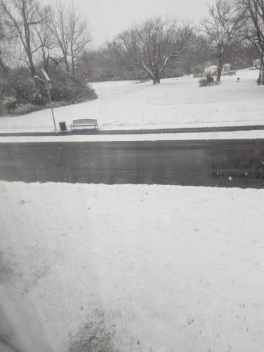 Cathy Ozman Hurlock.jpg