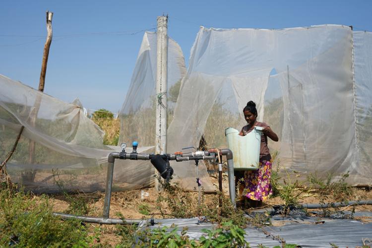 Climate Sri Lanka Drought