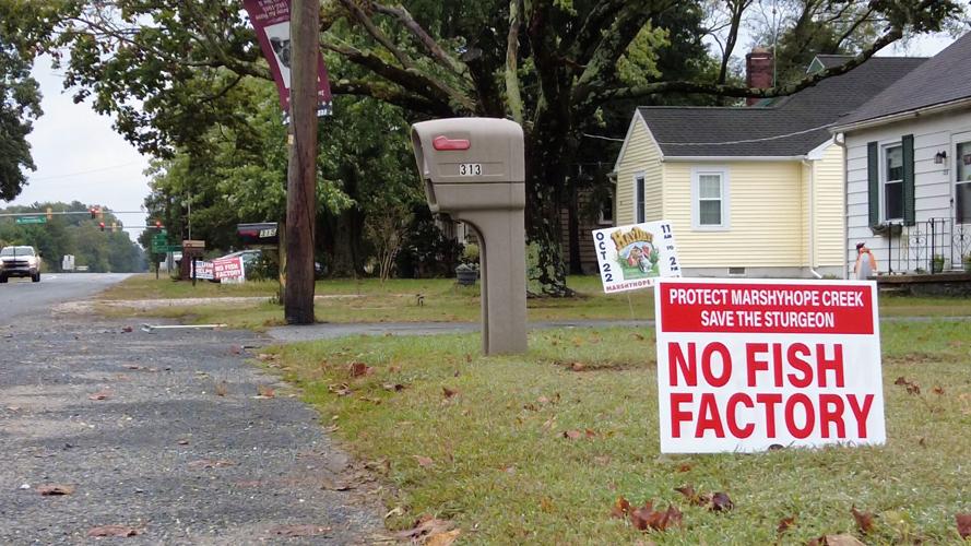 Aquacon's Possible Industrial Salmon Farm Raises Concerns In Federalsburg