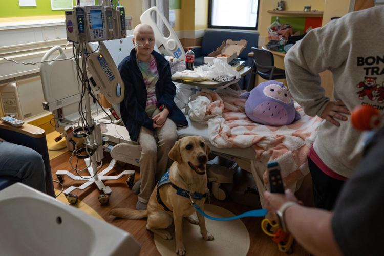 Children's Hospitals Dogs