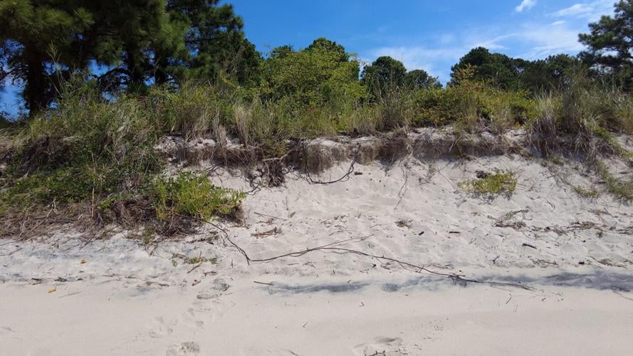 Cove Road Beach will be Closed for Shoreline Restoration Latest News