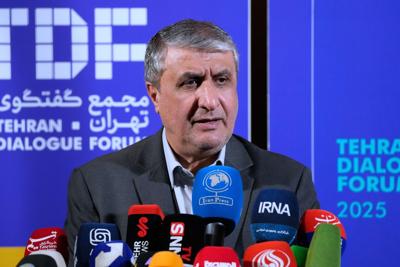 Iran US AEA